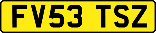FV53TSZ