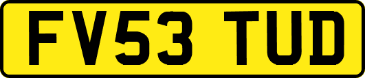 FV53TUD