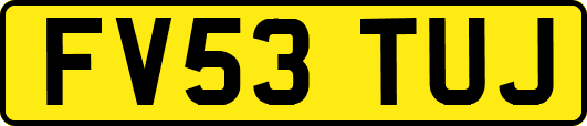 FV53TUJ