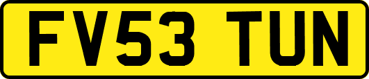 FV53TUN