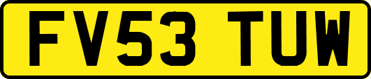 FV53TUW