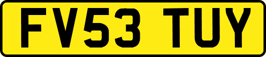 FV53TUY