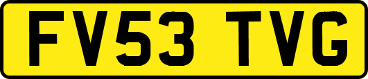 FV53TVG