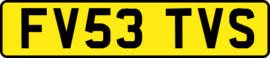 FV53TVS