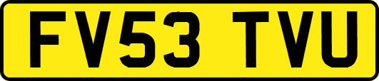 FV53TVU