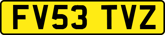 FV53TVZ