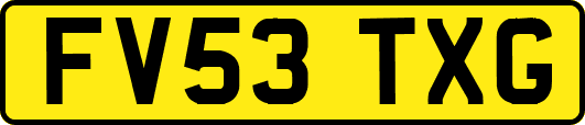 FV53TXG