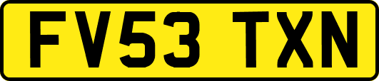 FV53TXN