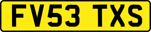 FV53TXS