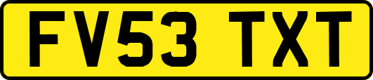 FV53TXT