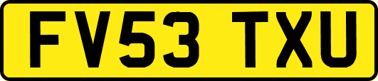 FV53TXU