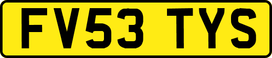 FV53TYS