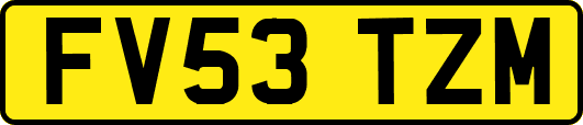 FV53TZM