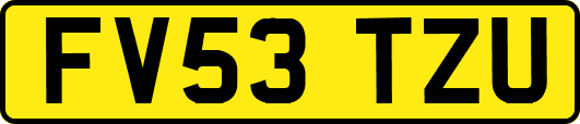 FV53TZU