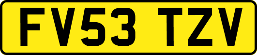 FV53TZV