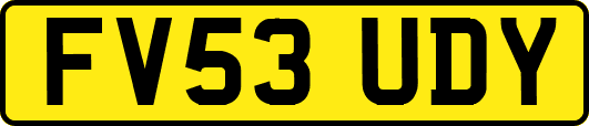 FV53UDY