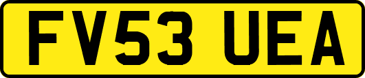 FV53UEA