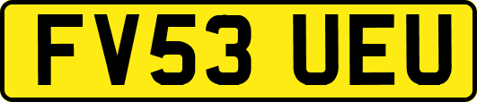 FV53UEU