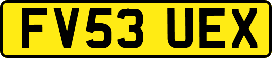 FV53UEX