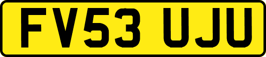 FV53UJU