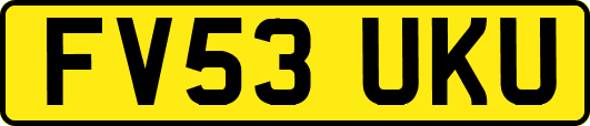 FV53UKU