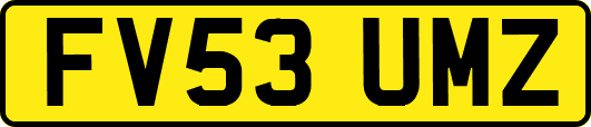 FV53UMZ