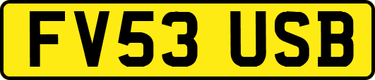 FV53USB