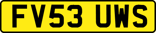 FV53UWS