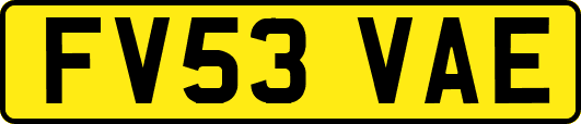 FV53VAE