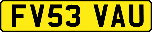 FV53VAU