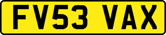 FV53VAX