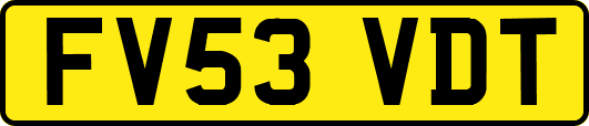 FV53VDT