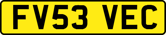 FV53VEC