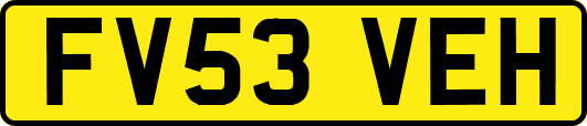 FV53VEH