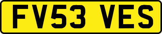 FV53VES