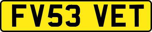 FV53VET