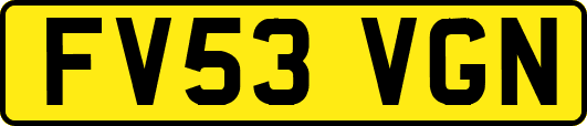 FV53VGN