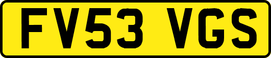 FV53VGS