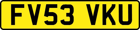 FV53VKU
