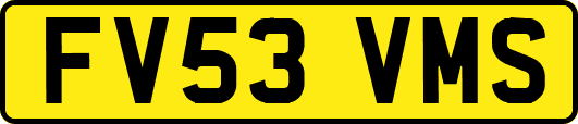 FV53VMS