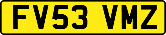 FV53VMZ