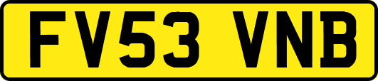 FV53VNB