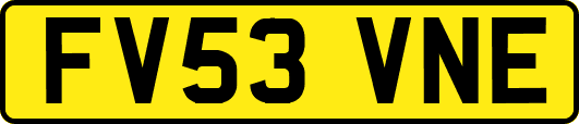 FV53VNE