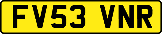FV53VNR
