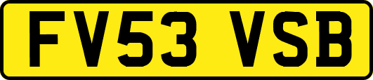 FV53VSB