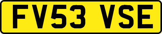 FV53VSE