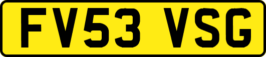 FV53VSG