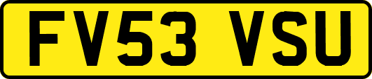 FV53VSU
