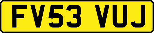 FV53VUJ