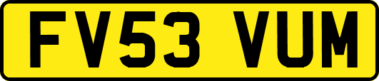 FV53VUM